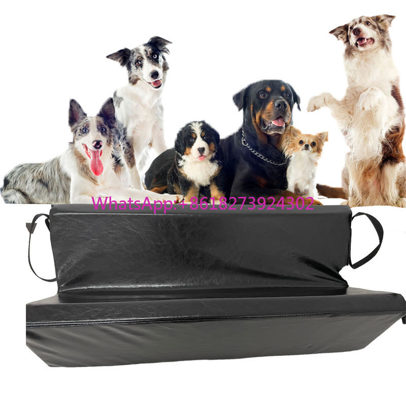 Veterinary X-Ray - OEM Pet Patient Positioning X-ray Mat