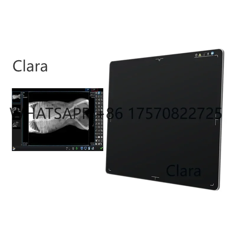 Veterinary X-Ray - 17*17 Flat Panel Detector Veterinary Digital