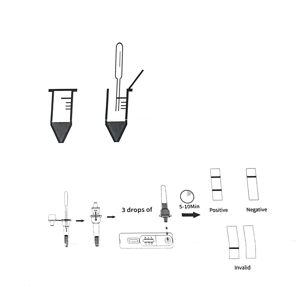 1set/5set Professional Pet Dog - Urine Analyzer Strip review and price