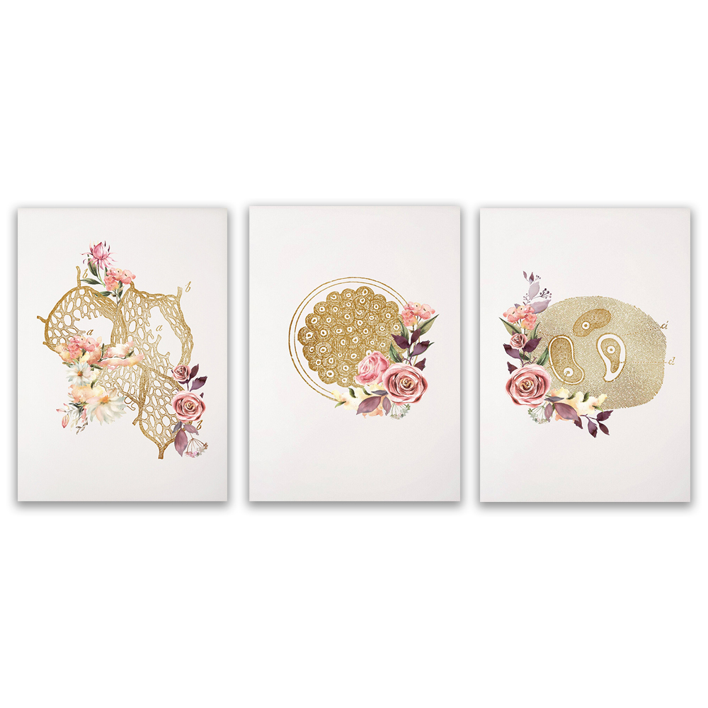 Microbiologist lab technician  - Medical Lab Gifts review and price