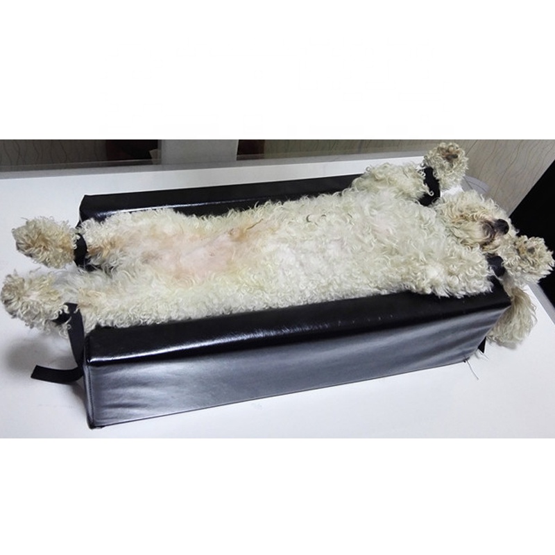 OEM Pet Patient Positioning X- - Veterinary X-Ray review and price