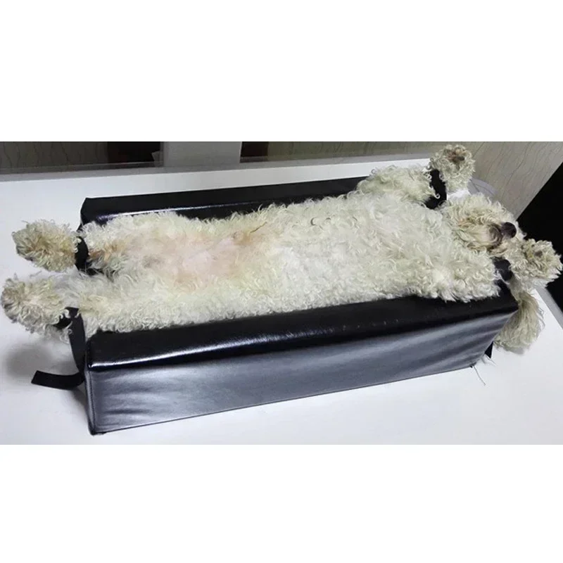 Small size    Animal Xray mach - Veterinary X-Ray review and price