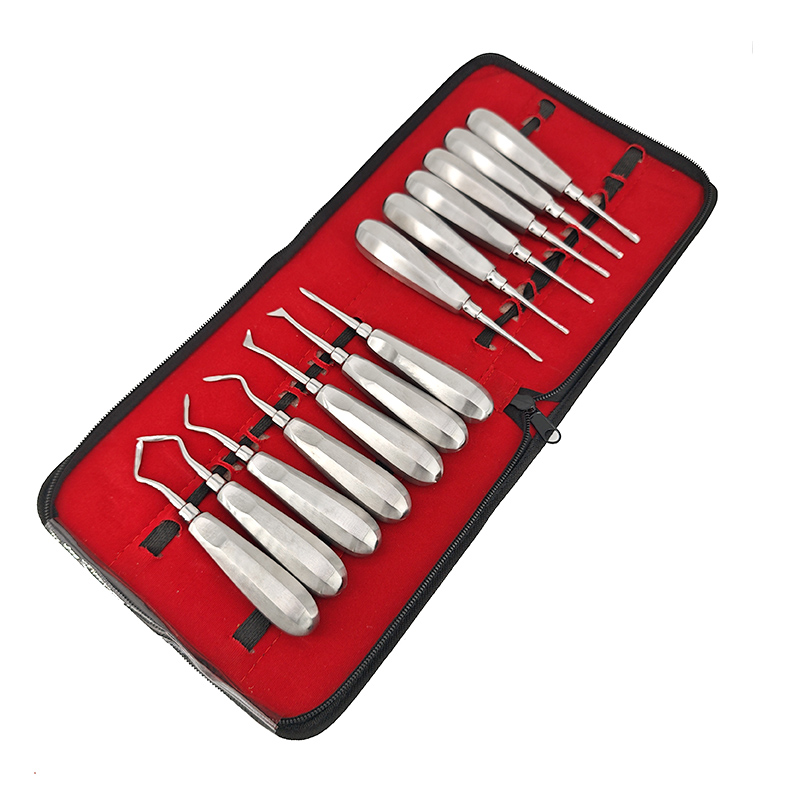 13PCS/Set Dentistry Tooth Extr - Dental Mirror Probe review and price