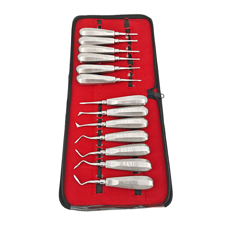 13PCS/Set Dentistry Tooth Extr - Dental Mirror Probe review and price