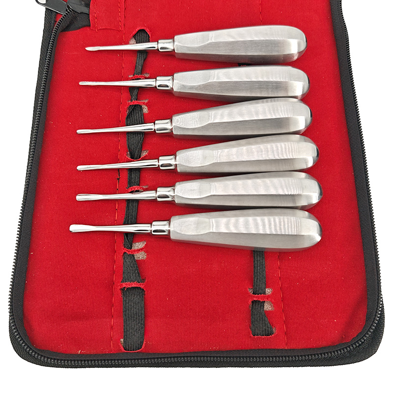 13PCS/Set Dentistry Tooth Extr - Dental Mirror Probe review and price