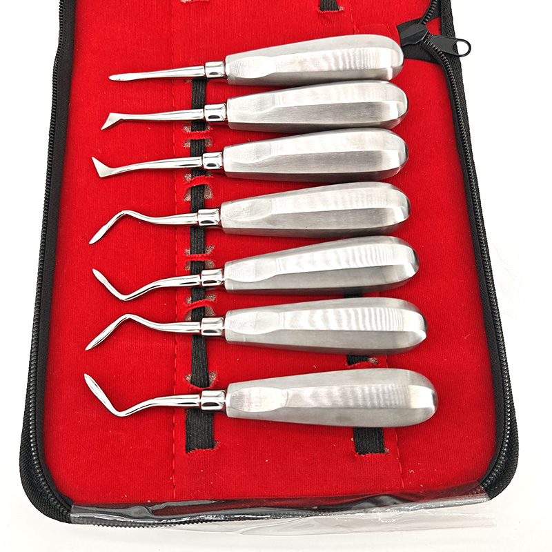 13PCS/Set Dentistry Tooth Extr - Dental Mirror Probe review and price